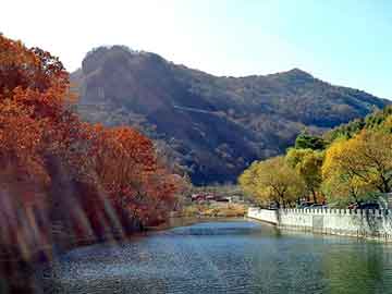 新澳天天开奖资料大全旅游团，幻影论坛